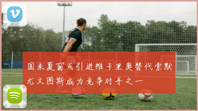 国米夏窗或引进维卡里奥替代索默尤文图斯成为竞争对手之一